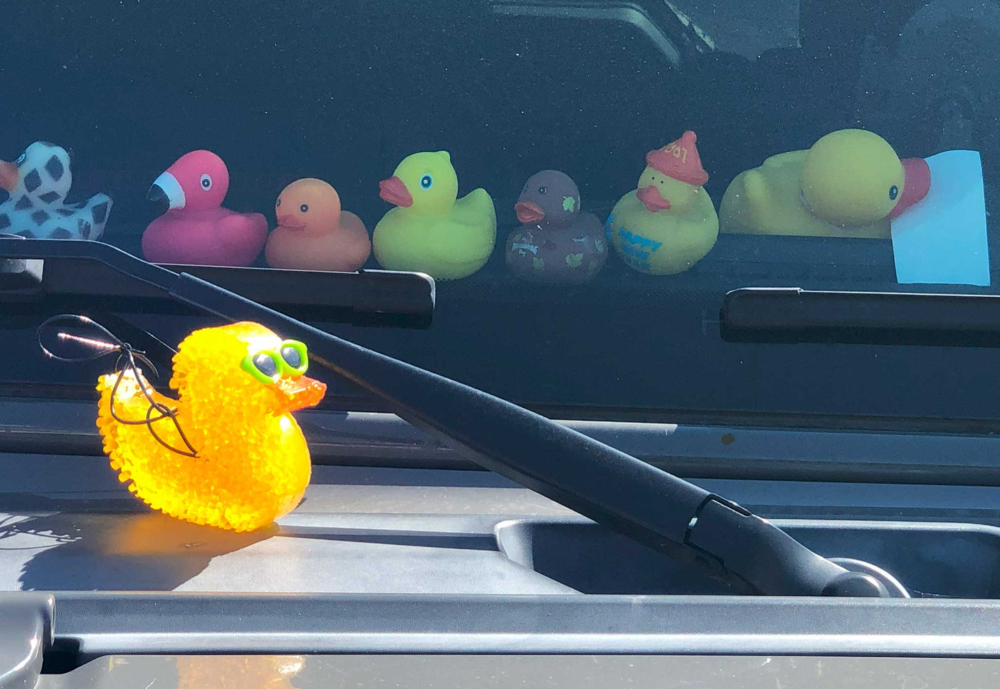 Fredericksburg Farms Freshie Air Freshener