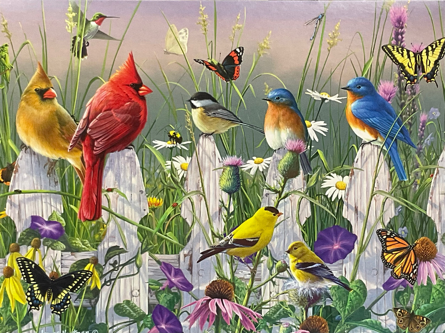 Misc Greeting Cards
