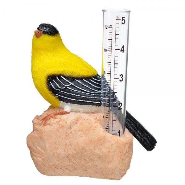 Bird Rain Gauge