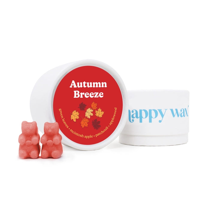 Eco Tin Wax Melts (4 oz)