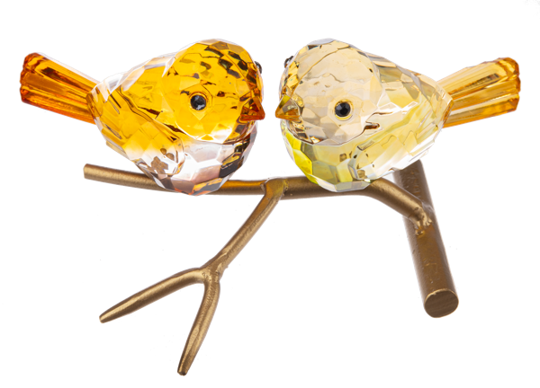 Graceful Birds on Branch