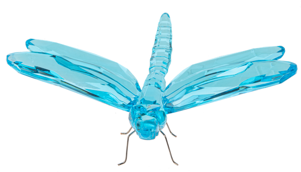 Sitting Dragonfly