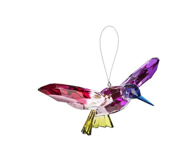 Rainbow Hummingbird w/Stand
