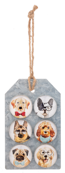 6-piece Magnet Set