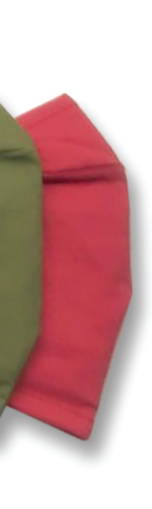 Reusable Fabric Mask