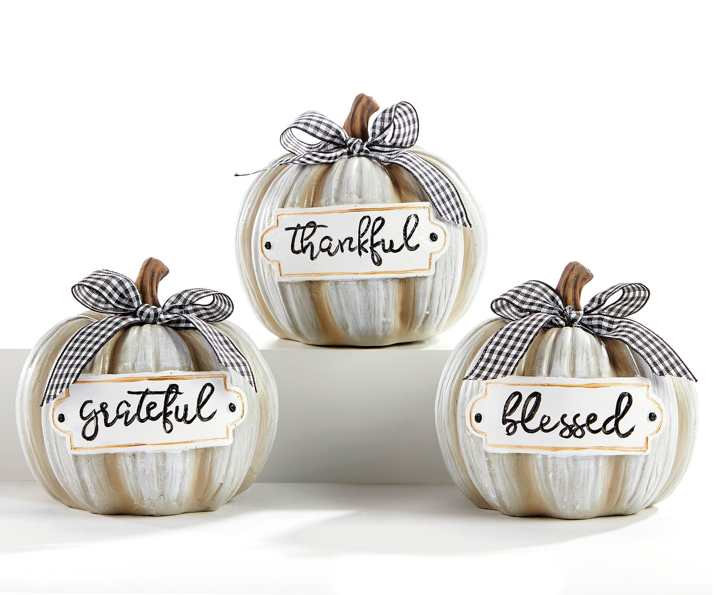 White Pumpkin w/Bow