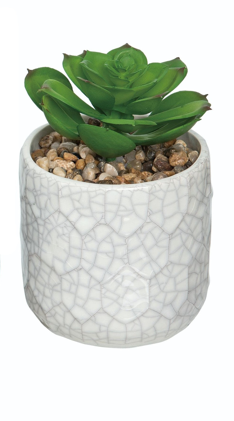 Faux Succulent Pot