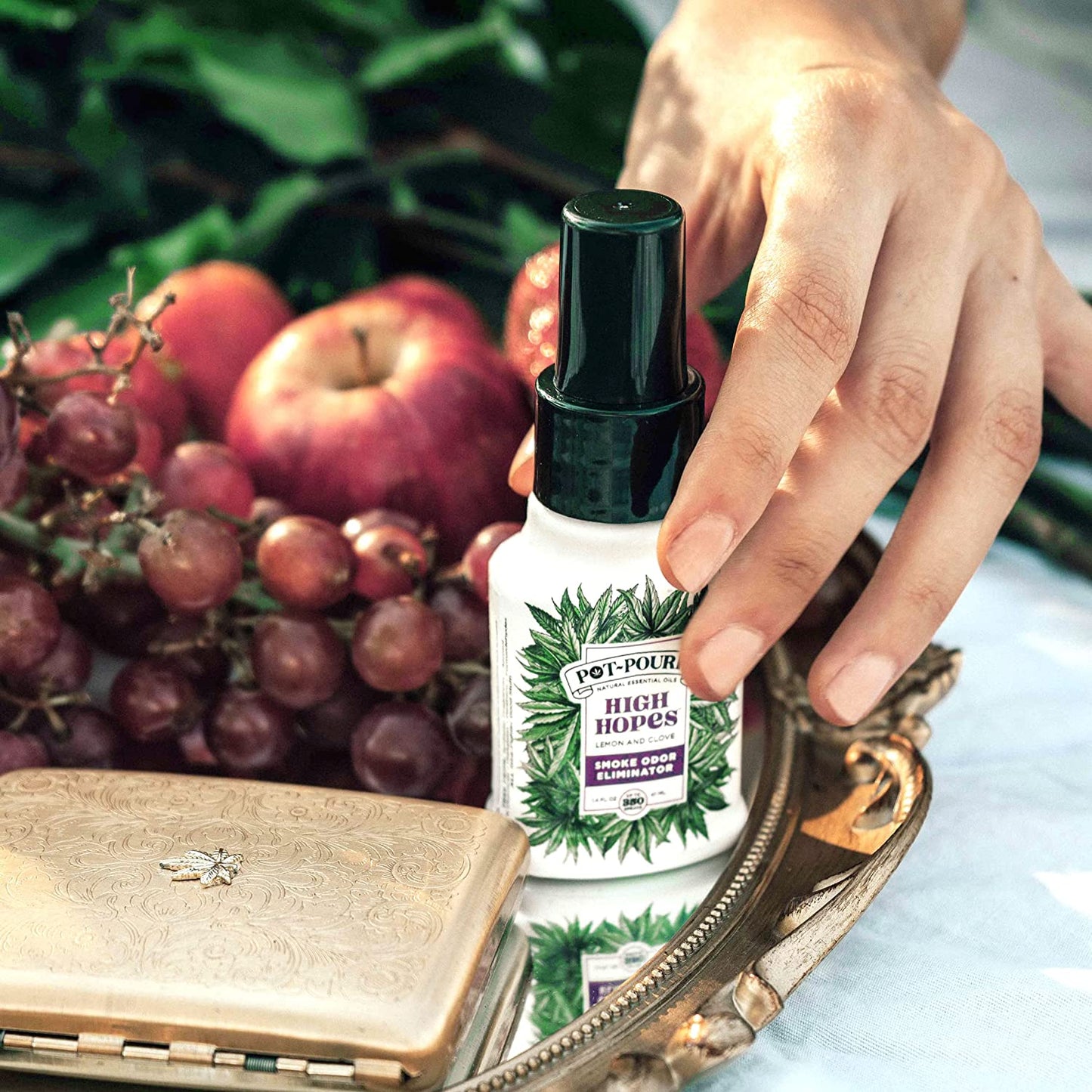 HIGH HOPES Smoke Odor Eliminator