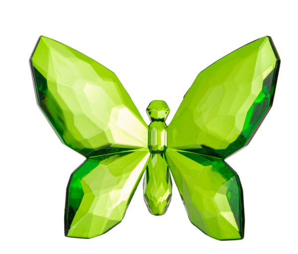 Crystal Expressions Brilliant Butterfly