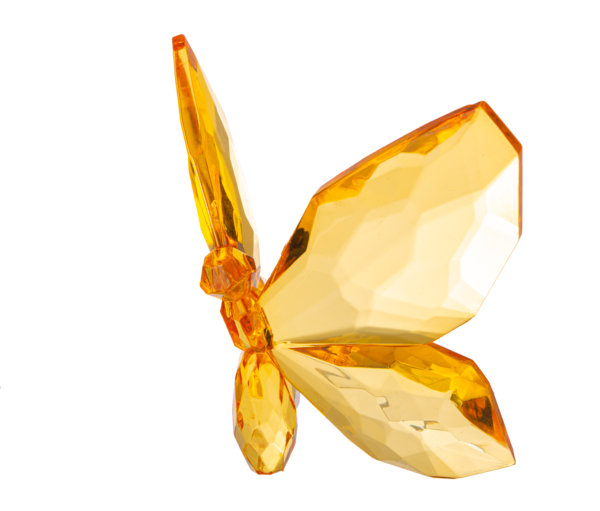 Crystal Expressions Brilliant Butterfly