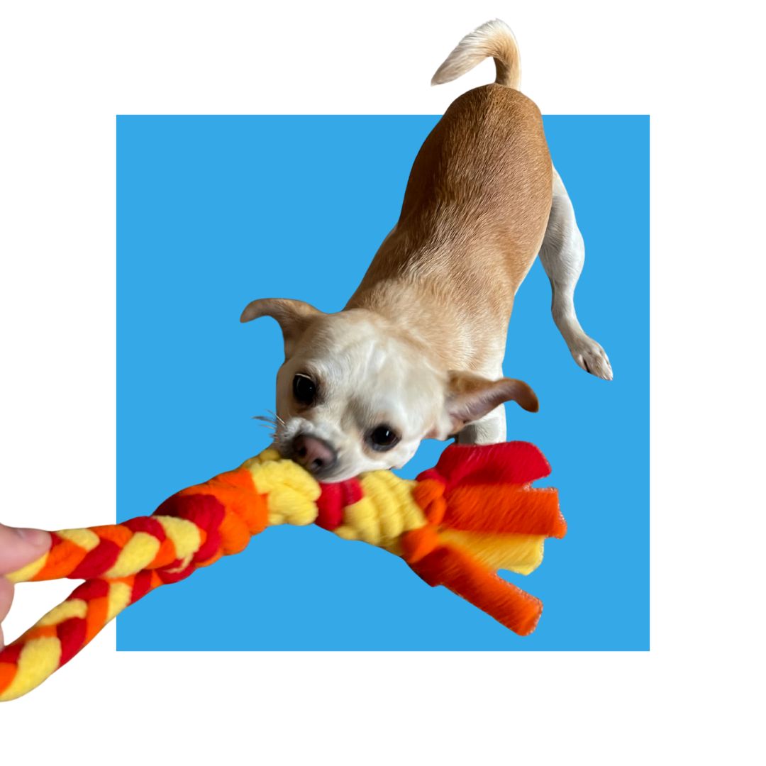 Chelsy’s Toys Patented Fleece Tug Toy – Interactive Dog Tug Toy for Play, Training & Enrichment