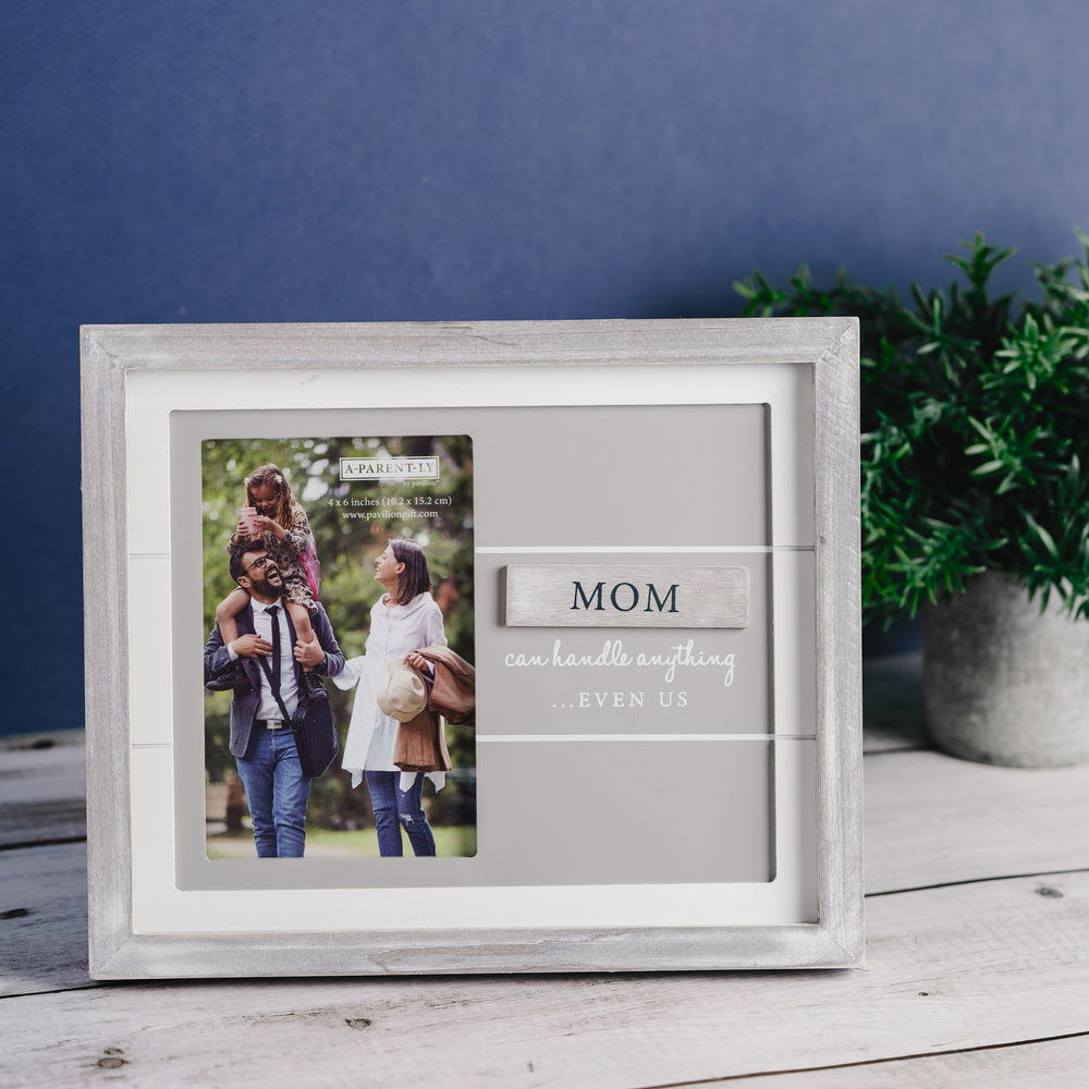 Weathered Gray Photo Frame
