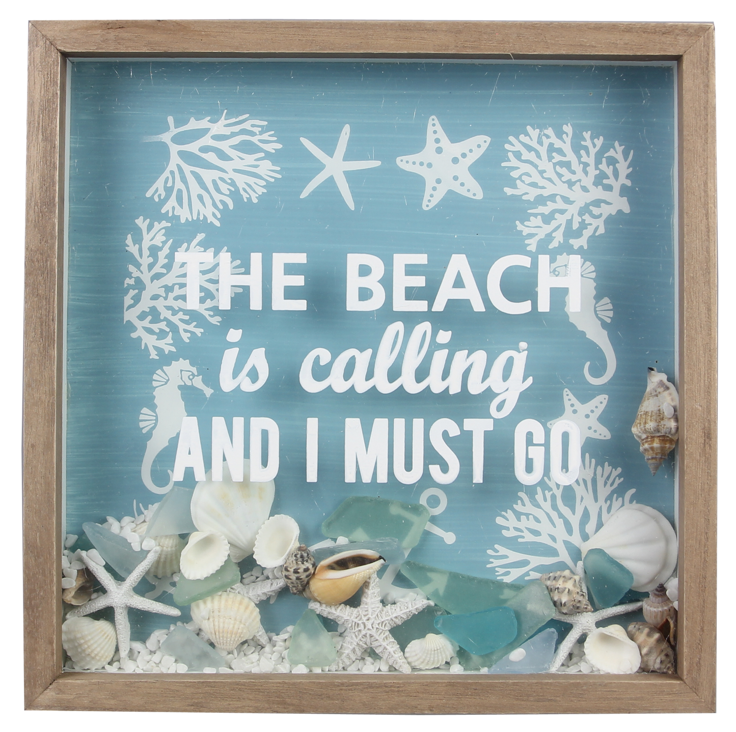 Nautical Shadowbox with Shells and Sea Glass