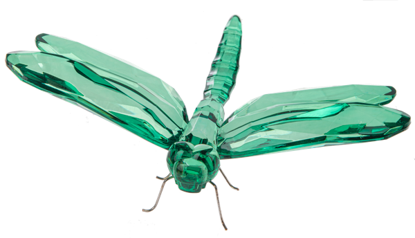 Sitting Dragonfly