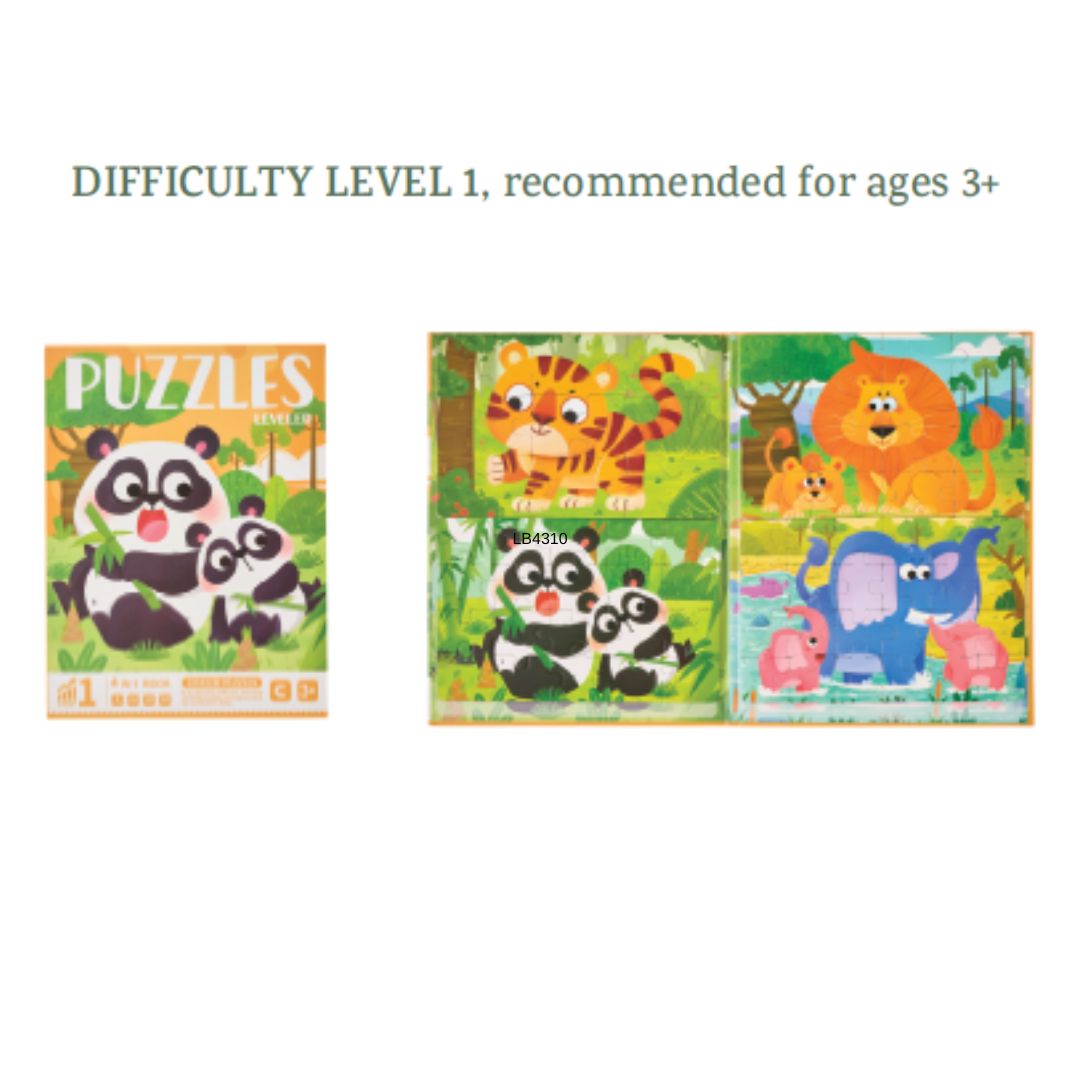 Magnetic Puzzle Book