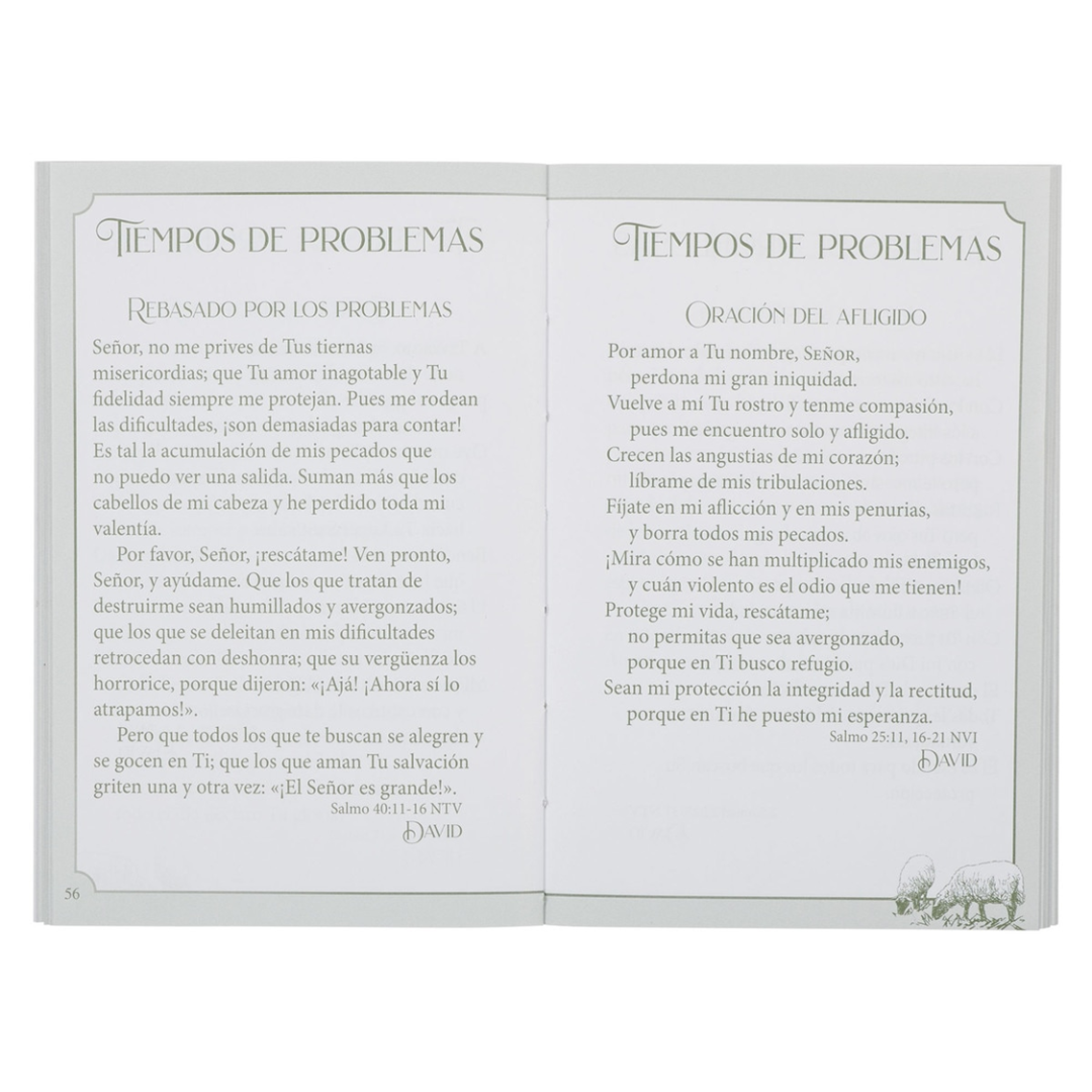 Mi Pequeno Libro de Oraciones (My Little Book of Prayers)