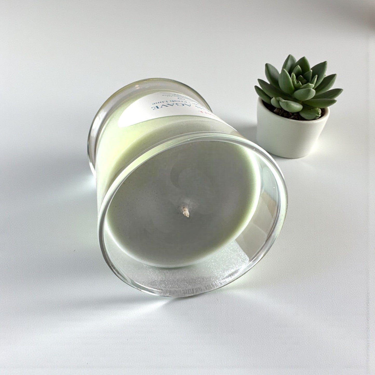 Citrus Agave Scented Candle