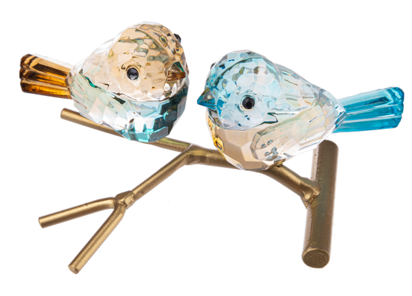 Graceful Birds on Branch