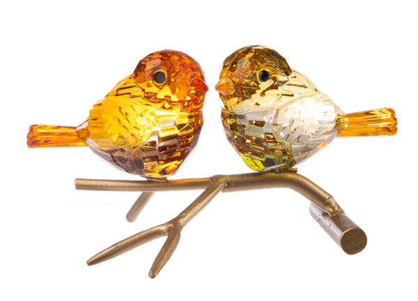 Graceful Birds on Branch