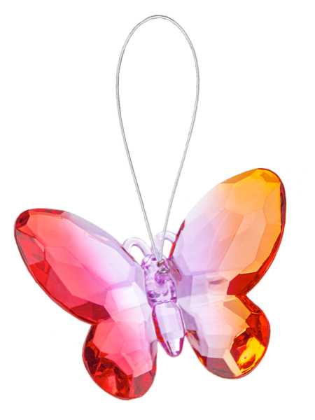 Multi-colored Acrylic Butterfly