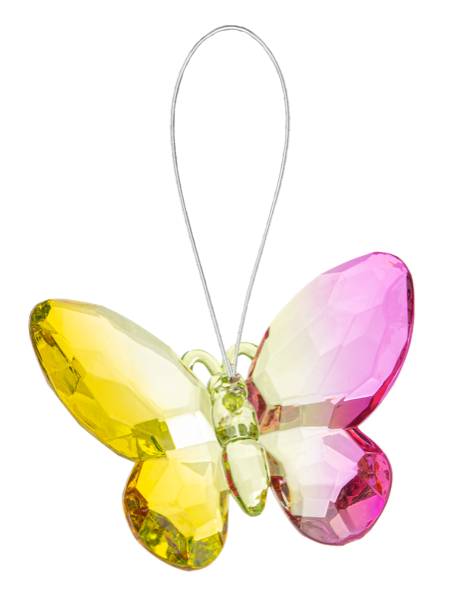 Multi-colored Acrylic Butterfly