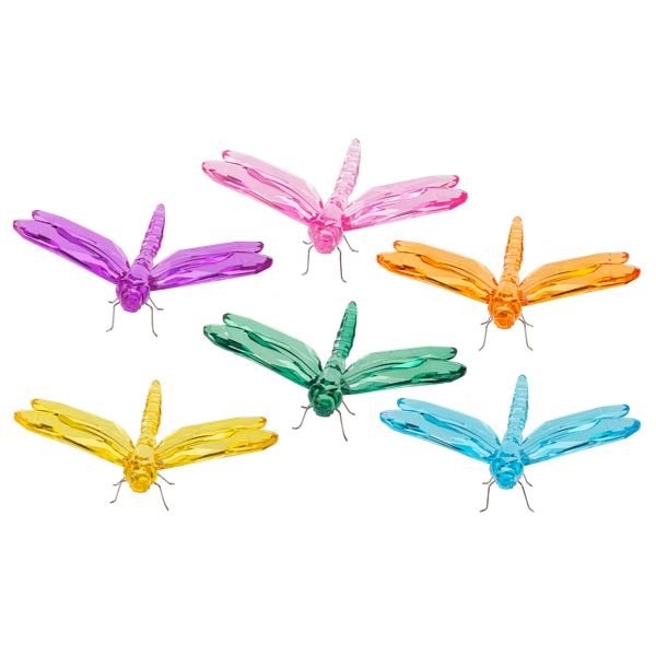 Sitting Dragonfly