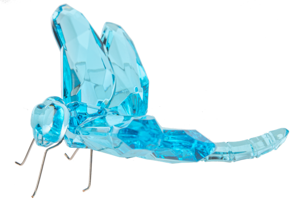 Sitting Dragonfly