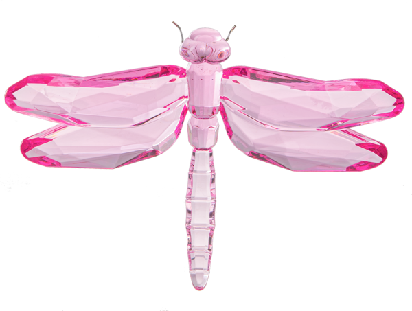 Sitting Dragonfly