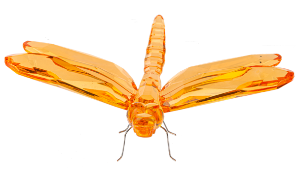 Sitting Dragonfly