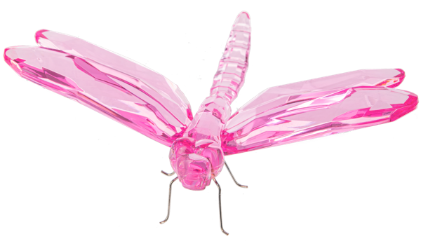 Sitting Dragonfly