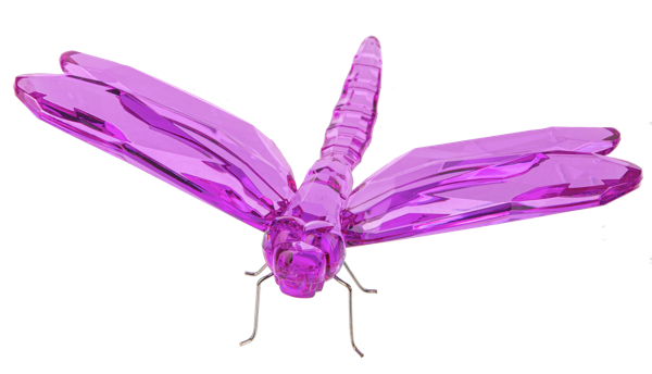 Sitting Dragonfly