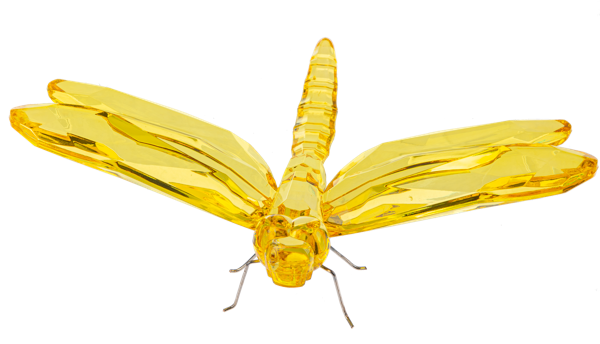 Sitting Dragonfly