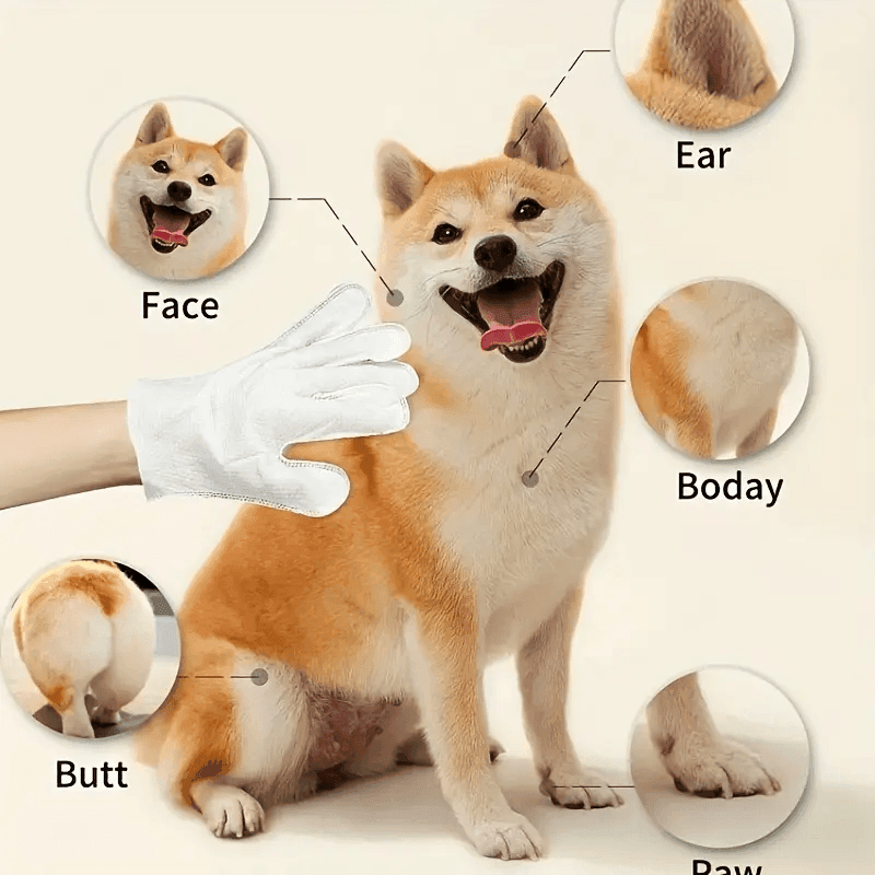 2-in-1 Pet Gloves – Gentle Massage + Odor Elimination in One!
