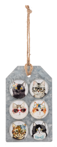 6-piece Magnet Set
