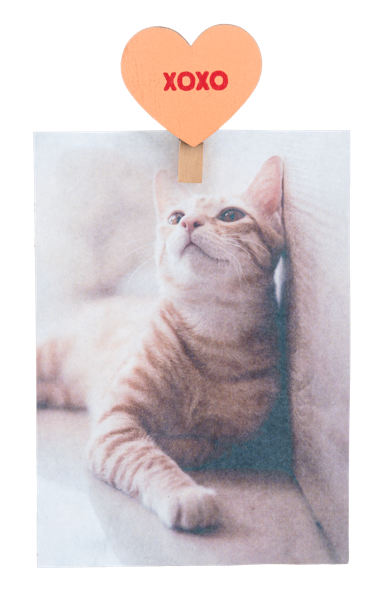 Candy Heart Clip Set