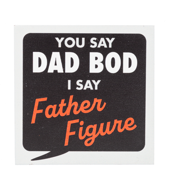 Dad joke magnet that reads You Say Dad Bod I Say Father Figure .
