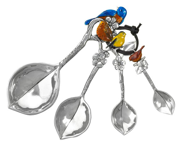 Silver Measuring Spoon Set