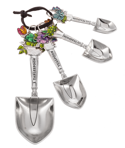 Silver Measuring Spoon Set