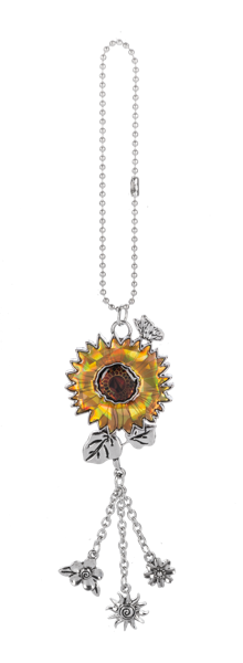 Holographic Car Charm