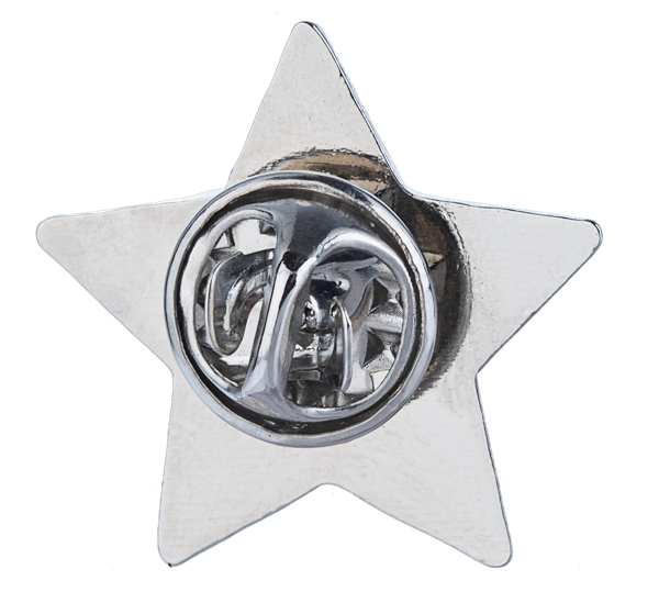 Land that I Love Pin