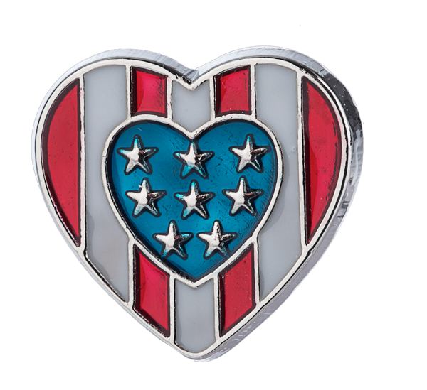 Land that I Love Pin