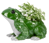Botanical Frog Planter