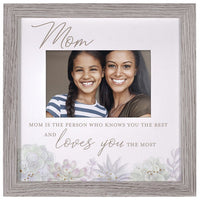 Mulberry Succulents Frame