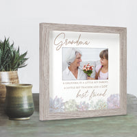 Mulberry Succulents Frame