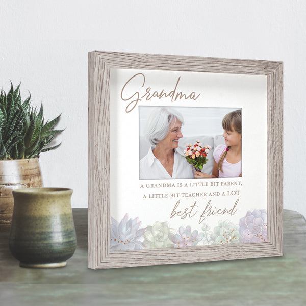 Mulberry Succulents Frame