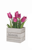Spring Planter Box
