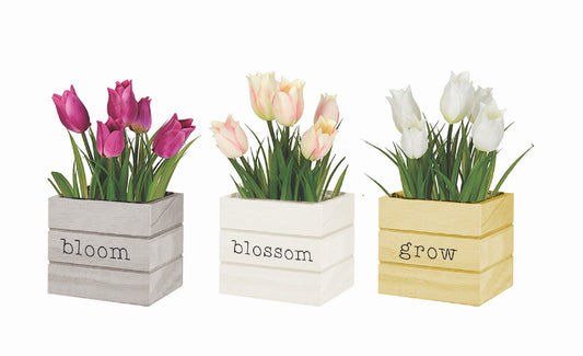 Spring Planter Box