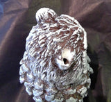 Pinecone Owl (CLEARANCE)