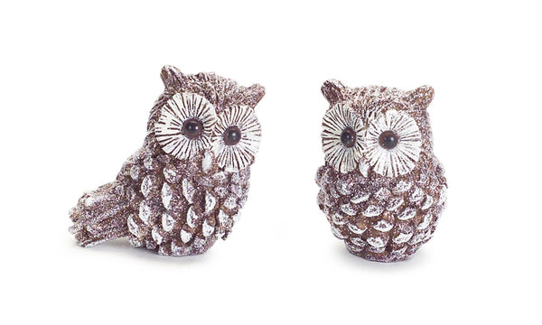 Pinecone Owl