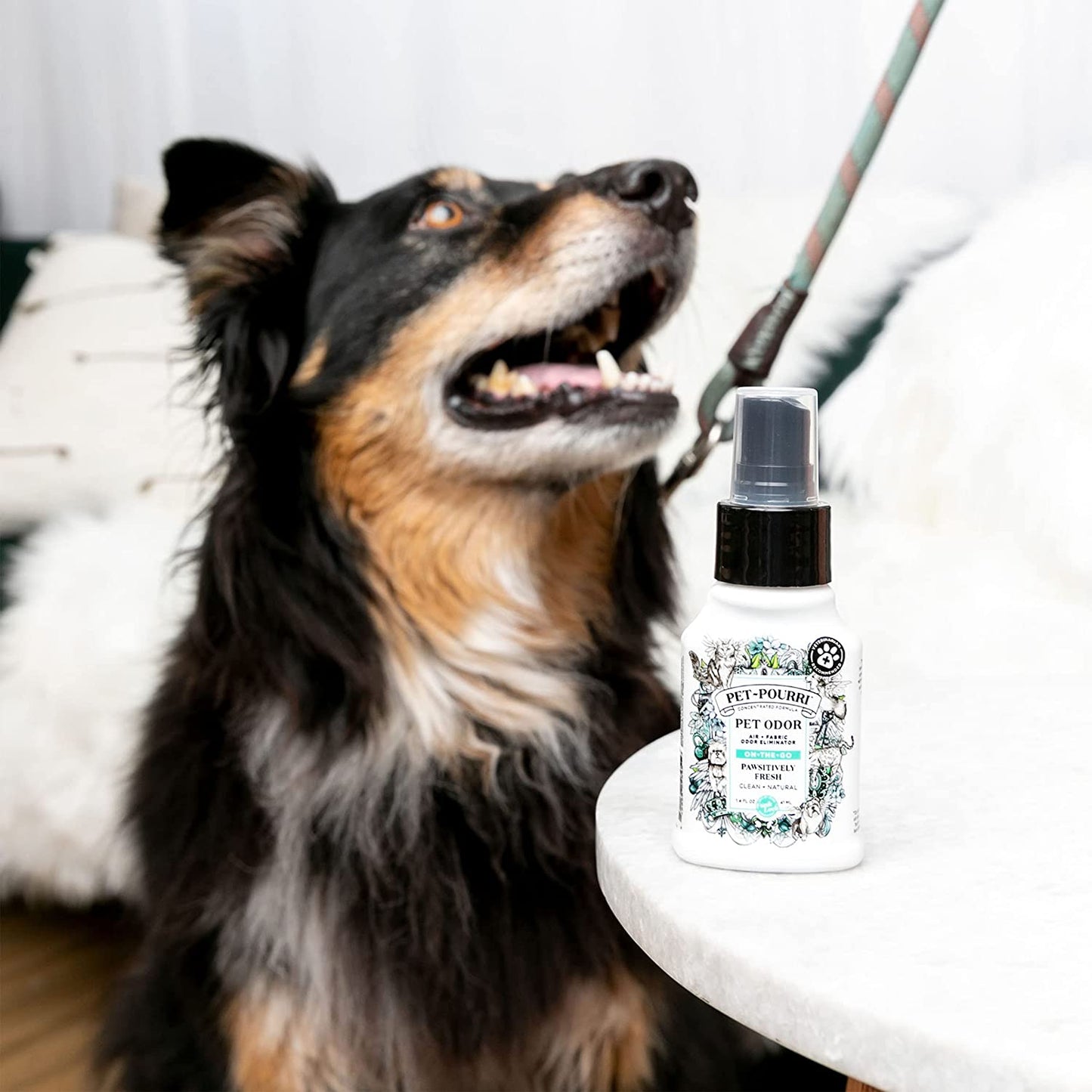 Pawsitively Fresh Odor Eliminator